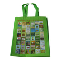  日喀则LB11覆膜无纺布广告袋